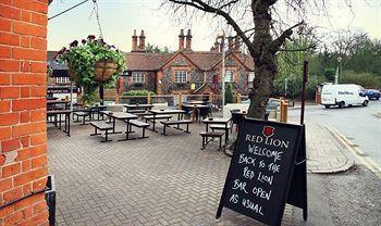 Red Lion